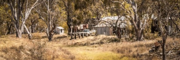 anne-ramus-shed-after