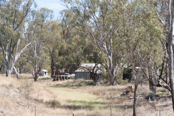 anne-ramus-shed-before