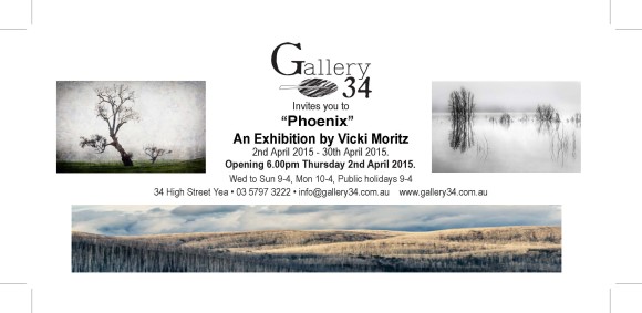 Gallery 34 Invite Vicki Moritz April 2015 (d)